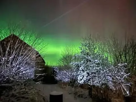 Ferienhaus Haus Harald *