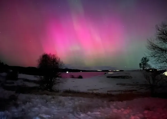 Ferienhaus Haus Harald